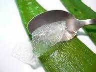 /album/aloe-vera-/imagescarj2eb7-jpg1/