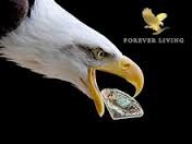 /album/%cf%80%ce%b9%cf%83%cf%84%ce%bf%cf%80%ce%bf%ce%af%ce%b7%cf%83%ce%b7-%cf%80%cf%81%ce%bf%cf%8a%cf%8c%ce%bd%cf%84%cf%89%ce%bd-/imagescau0svfl-jpg/