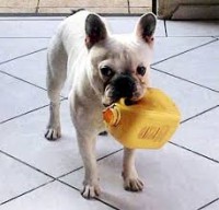 /album/%cf%80%ce%b9%cf%83%cf%84%ce%bf%cf%80%ce%bf%ce%af%ce%b7%cf%83%ce%b7-%cf%80%cf%81%ce%bf%cf%8a%cf%8c%ce%bd%cf%84%cf%89%ce%bd-/imagescapkxgd1-jpg/